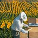 Is Beekeeping Cruel Does it Harm Bees featured