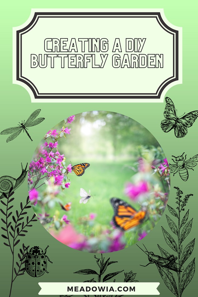 Creating a DIY Butterfly Garden (A List of Must-Haves)