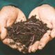Earthworms Composting How Does it Work featured